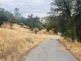 31578 Road 400 - Photo 15