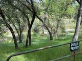31578 Road 400 - Photo 51