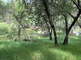 31578 Road 400 - Photo 52