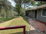 31578 Road 400 - Photo 6