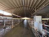 24916 Manteca Road - Photo 10