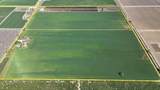 24916 Manteca Road - Photo 13