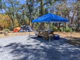 1581 Moccasin Trail - Photo 61