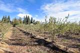 5288 Kile - Photo 38