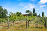 5411 Julietta Place - Photo 83