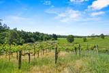 5411 Julietta Place - Photo 84