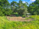 5411 Julietta Place - Photo 86