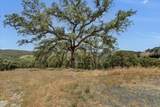 14956 Ballantree Lane - Photo 77