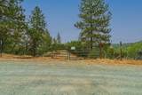 13080 Twin Pines Road - Photo 85