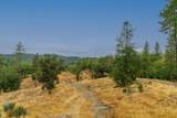 13080 Twin Pines Road - Photo 88
