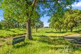 3000 Alexandrite Drive - Photo 60