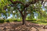 2821 Springfield Drive - Photo 42