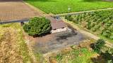 20042 Ray Road - Photo 43
