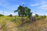 20042 Ray Road - Photo 59