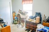 2640 Hoboken Creek Road - Photo 19