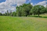 2640 Hoboken Creek Road - Photo 9