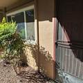 2007 Alta Loma Street - Photo 3