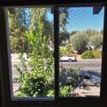 2007 Alta Loma Street - Photo 32