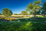 3009 Torrey Pines Drive - Photo 21