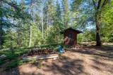 23 Wild Rose Meadow Lane - Photo 21
