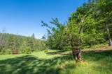 23 Wild Rose Meadow Lane - Photo 77