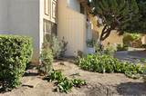40 Lancaster Drive - Photo 20