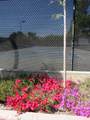 535 Pierce Street - Photo 41