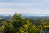 977 Crystal Oak Place - Photo 46