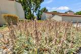 4848 El Cemonte Avenue - Photo 30
