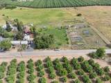13513 Vineyard Road - Photo 39