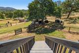 10448 Lozano Street - Photo 47