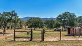 10448 Lozano Street - Photo 60