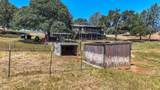 10448 Lozano Street - Photo 62