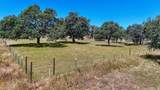 10448 Lozano Street - Photo 64