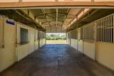 1601 Velvet Horn Lane - Photo 42