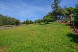 1601 Velvet Horn Lane - Photo 49