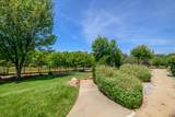 1601 Velvet Horn Lane - Photo 66