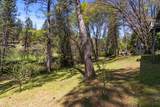 10450 Alta Sierra Drive - Photo 19