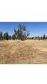 10125 La Clair Road - Photo 18
