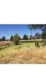 10125 La Clair Road - Photo 19