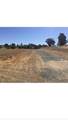 10125 La Clair Road - Photo 20