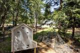 5315 Wildberry Drive - Photo 36