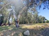 1246 Paseo Redondo Drive - Photo 45