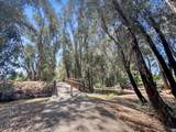 1246 Paseo Redondo Drive - Photo 46