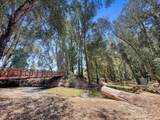 1246 Paseo Redondo Drive - Photo 49