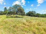 2105 Precision Place - Photo 23