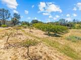 2105 Precision Place - Photo 39