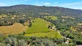 7133 Lilly Way - Photo 44