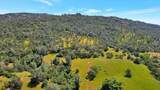 7133 Lilly Way - Photo 47