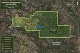 7133 Lilly Way - Photo 61